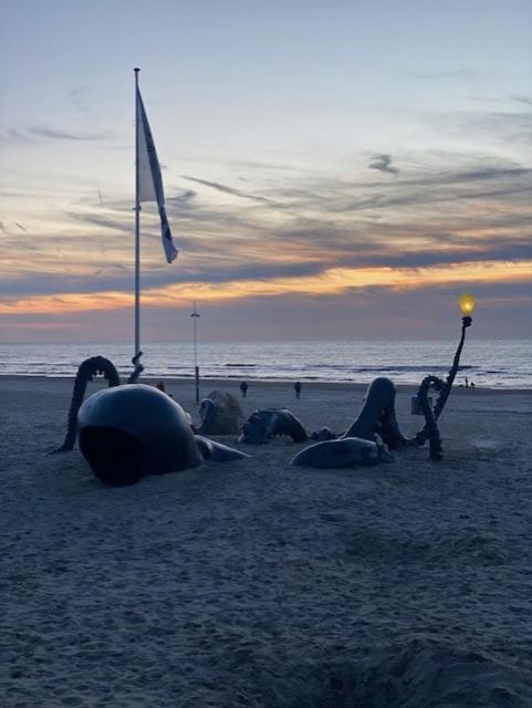 Depannemarkt De Panne Zewnętrze zdjęcie